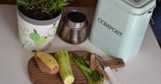 Copertina di Compost, in cucina o in giardino: tutto quello che c’è da sapere