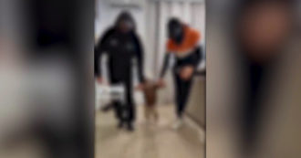 Copertina di Vestono il figlio da Matteo Messina Denaro, simulano il momento dell’arresto e pubblicano il video sui social