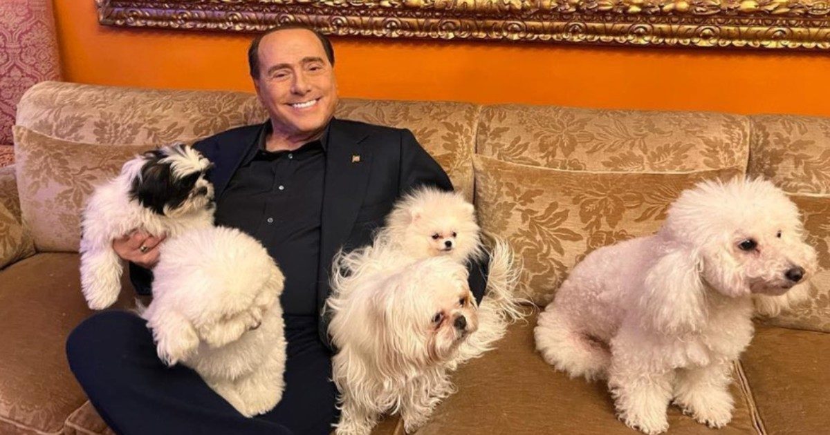 Silvio Berlusconi presenta i suoi nuovi cani: “Quanta gioia regalano gli amici a quattro zampe”