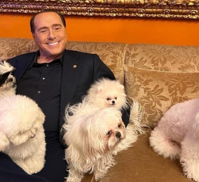 Silvio Berlusconi presenta i suoi nuovi cani: “Quanta gioia regalano gli amici a quattro zampe”