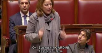 Copertina di Cospito, il labiale di Donzelli mentre parla Gardini: il deputato di FdI anticipa le parole della collega di partito
