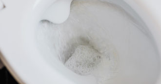 Copertina di Perché la pipì è gialla? La risposta nel nuovo studio (con una scoperta dagli importanti risvolti per la nostra salute)