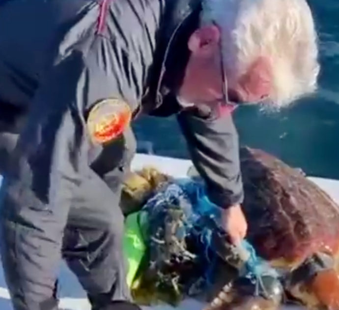 Nuotava intrappolata nella plastica, carabinieri salvano tartaruga di 30 chili a Favignana – Video