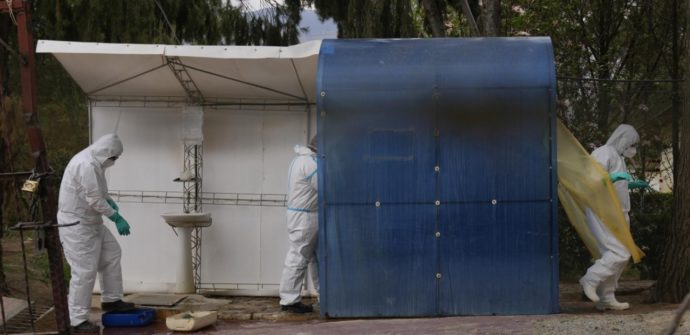 Influenza aviaria, Oms: “Diverse segnalazioni tra i mammiferi”. Dopo il Covid 19 potrebbe essere la prossima emergenza