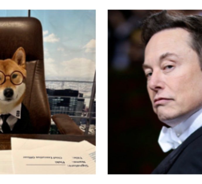 Elon Musk nomina il suo cane come Ceo di Twitter: “È perfetto per questo lavoro”