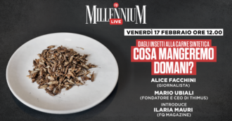 Copertina di Dagli insetti alla carne sintetica, cosa mangeremo domani? La diretta di Millennium Live con Alice Facchini e Mario Ubiali