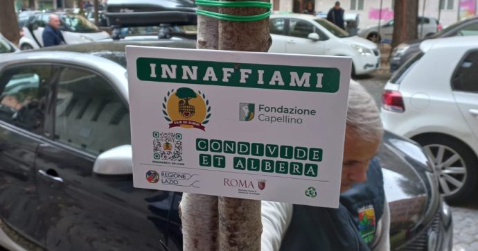Roma, dall’associazione Daje de Alberi 17 nuove piante a Val Melaina. L’esperto: “Benefici sullo smog e sulle temperature”