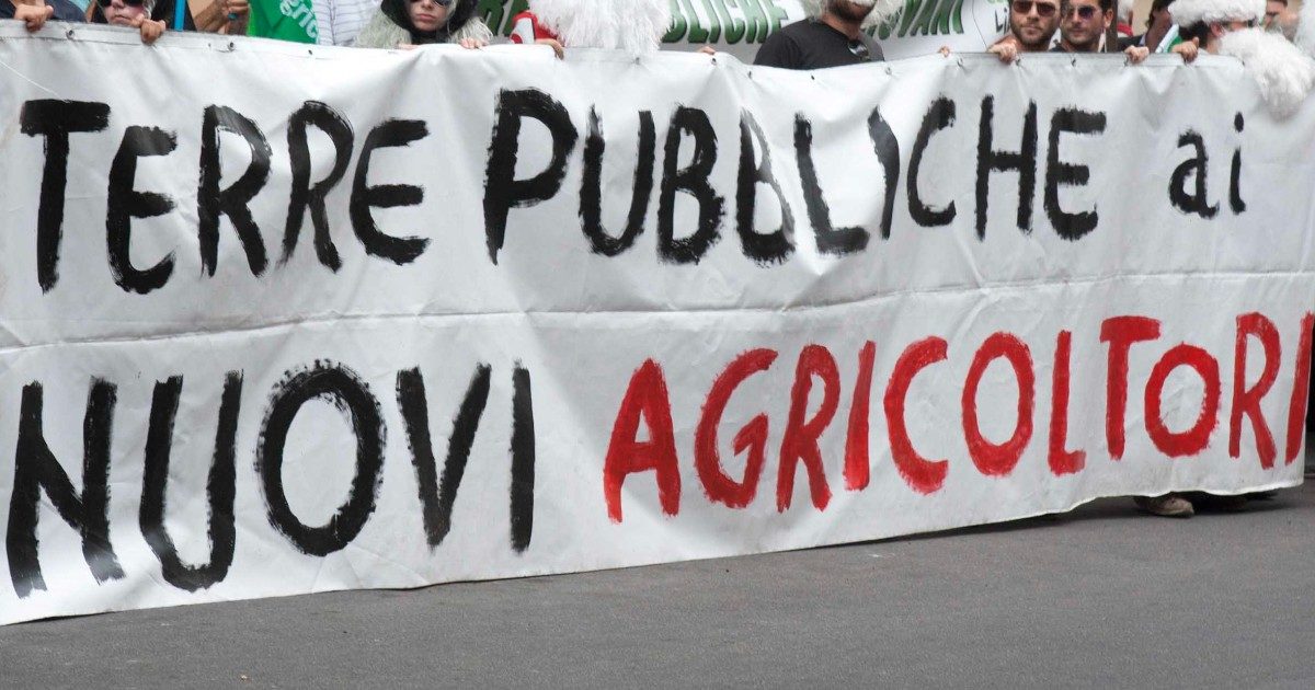 Agricoltura 2.0, altro che opportunità per i giovani: troppa burocrazia, pochi sussidi. E gli under 40 sono sempre meno: “Così non c’è innovazione per fronteggiare la crisi climatica”