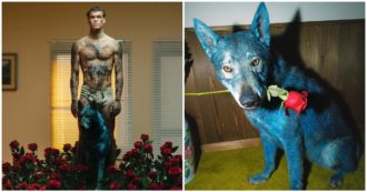 Copertina di Blanco, arriva l’esposto degli animalisti per il cane blu dell’ultimo videoclip: “È maltrattamento”