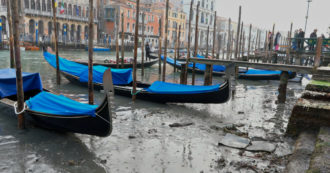 Copertina di Siccità, bassa marea eccezionale a Venezia: le immagini lungo le rive del Canal Grande senz’acqua – Video