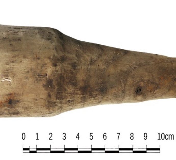 Anche le antiche romane usavano i dildo: ritrovato un sex toy di legno “sopravvissuto per quasi 2000 anni”