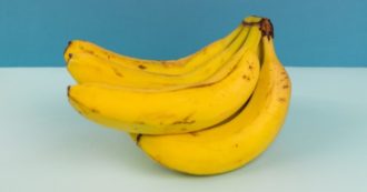 Copertina di Chiede un pranzo vegano in aereo ma gli servono solo una banana. La ‘denuncia’ del passeggero: “Pensavo fosse l’antipasto”