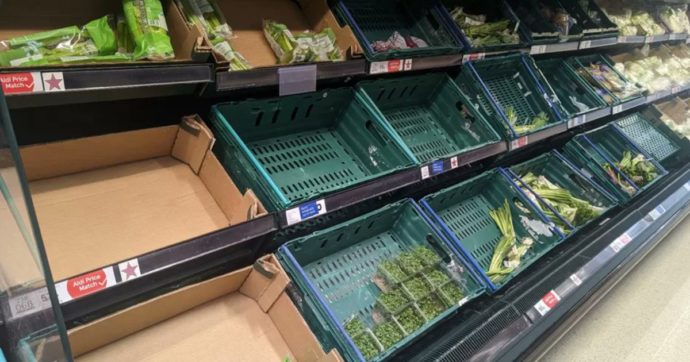Gran Bretagna, verdure razionate nei supermercati. Ex manager di una catena: “Il governo se l’è cercata. Colpa anche di Brexit”