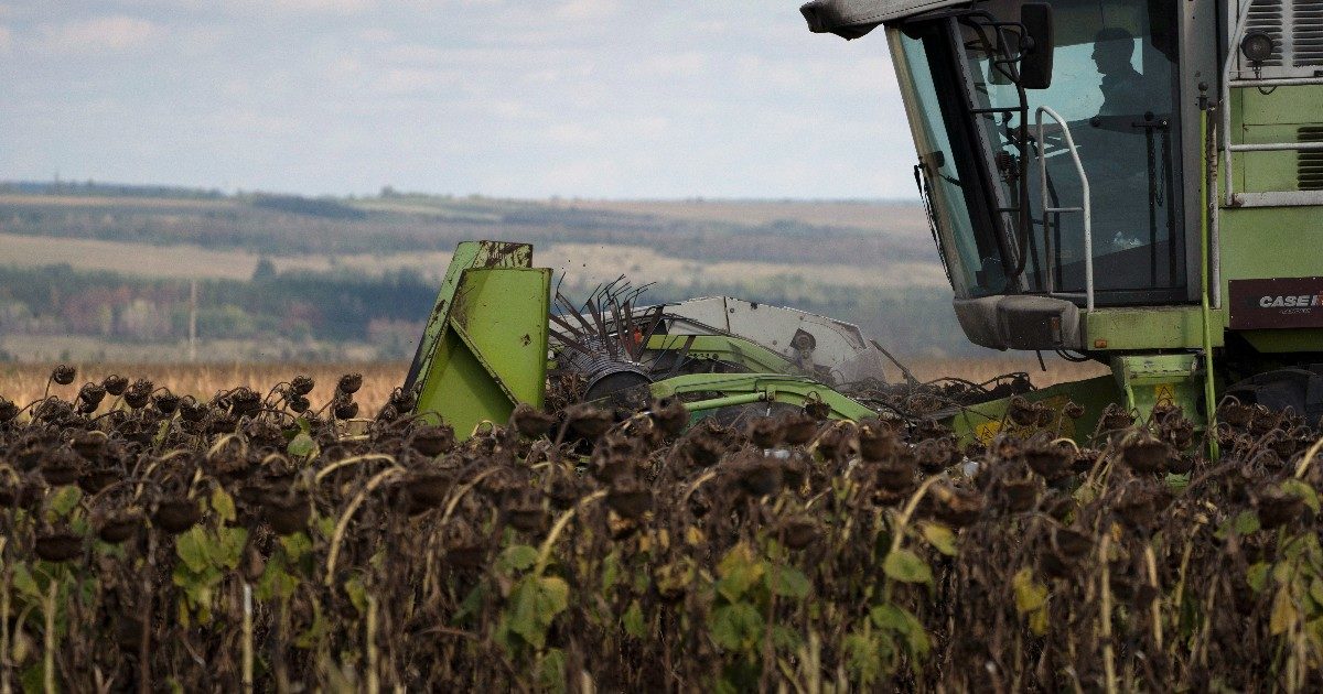 Il caldo anomalo in inverno fa crescere frutta e piante, le gelate tardive in primavera le distruggono: i cambiamenti climatici (e il mercato che non si adegua) mettono in crisi l’agricoltura