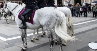 Copertina di Milano, donna ubriaca tira la coda del cavallo della Polizia e grida: “Non si tiene così”. Denunciata