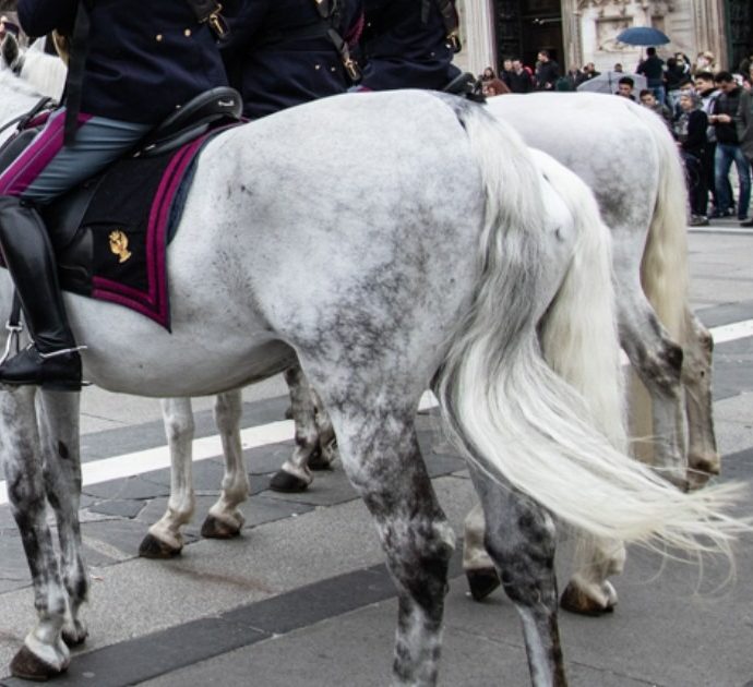 Milano, donna ubriaca tira la coda del cavallo della Polizia e grida: “Non si tiene così”. Denunciata