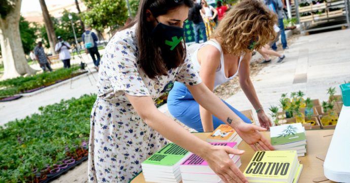 Assemblea a scuola sulla cannabis, arriva la polizia che chiede i nomi degli studenti
