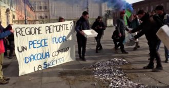 Copertina di Torino, attivisti di Fridays for future buttano dei pesci marci davanti alla Regione: “Ecco ciò che rimane nei nostri fiumi a causa della siccità”