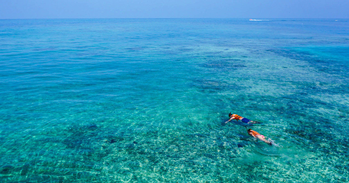 Sposi abbandonati nell’oceano “con mare mosso”: al via una causa per 5 milioni di dollari contro la compagnia di snorkeling