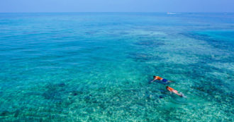 Copertina di Sposi abbandonati nell’oceano “con mare mosso”: al via una causa per 5 milioni di dollari contro la compagnia di snorkeling