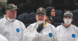 Covid, a New York milioni di topi positivi: rischio di nuove varianti
