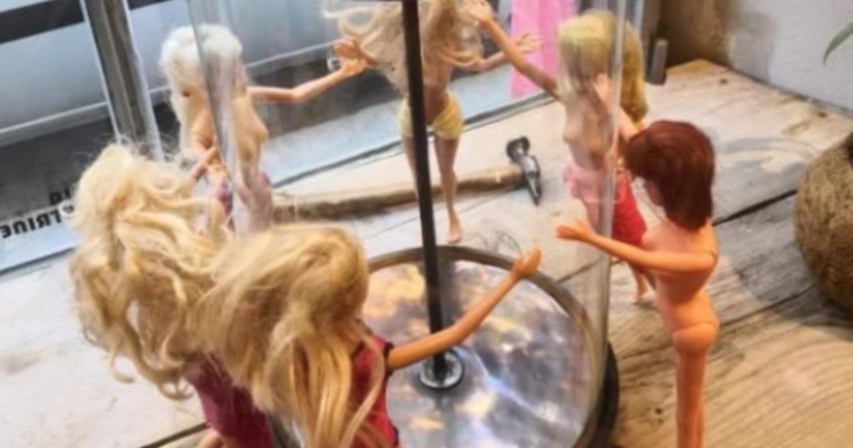 Mette in vetrina Barbie e Ken nudi: artista multato per “offesa al pubblico decoro”. Ecco quanto ha dovuto pagare