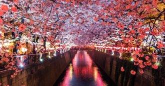 Copertina di Giappone, spettacolo di primavera