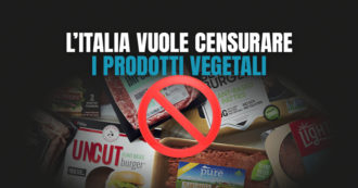 Copertina di Una legge punta a vietare i nomi dei prodotti di carne per i cibi vegetali: una proposta ingiusta