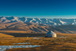 Copertina di L’emozione della scoperta