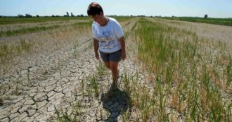 Due gradi in più di riscaldamento globale: siamo in pieno scenario ‘rana bollita’