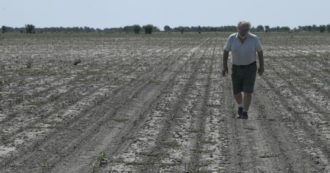 Copertina di Giornata dell’alimentazione (e delle sue contraddizioni): la Fao punta a rendere inclusivo il sistema, l’Ue continua a rimandare