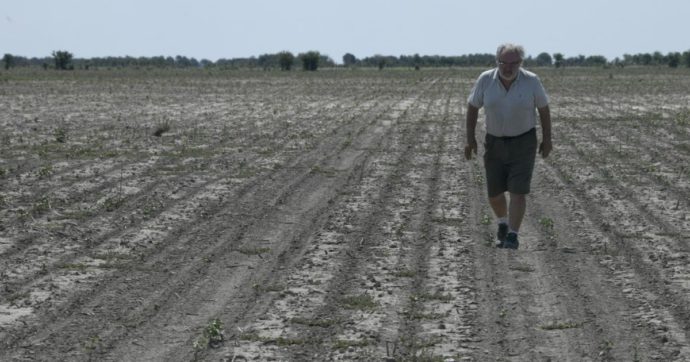 Il clima minaccia la raccolta di soia in Argentina e viceversa: unendo i puntini, il cerchio si chiude