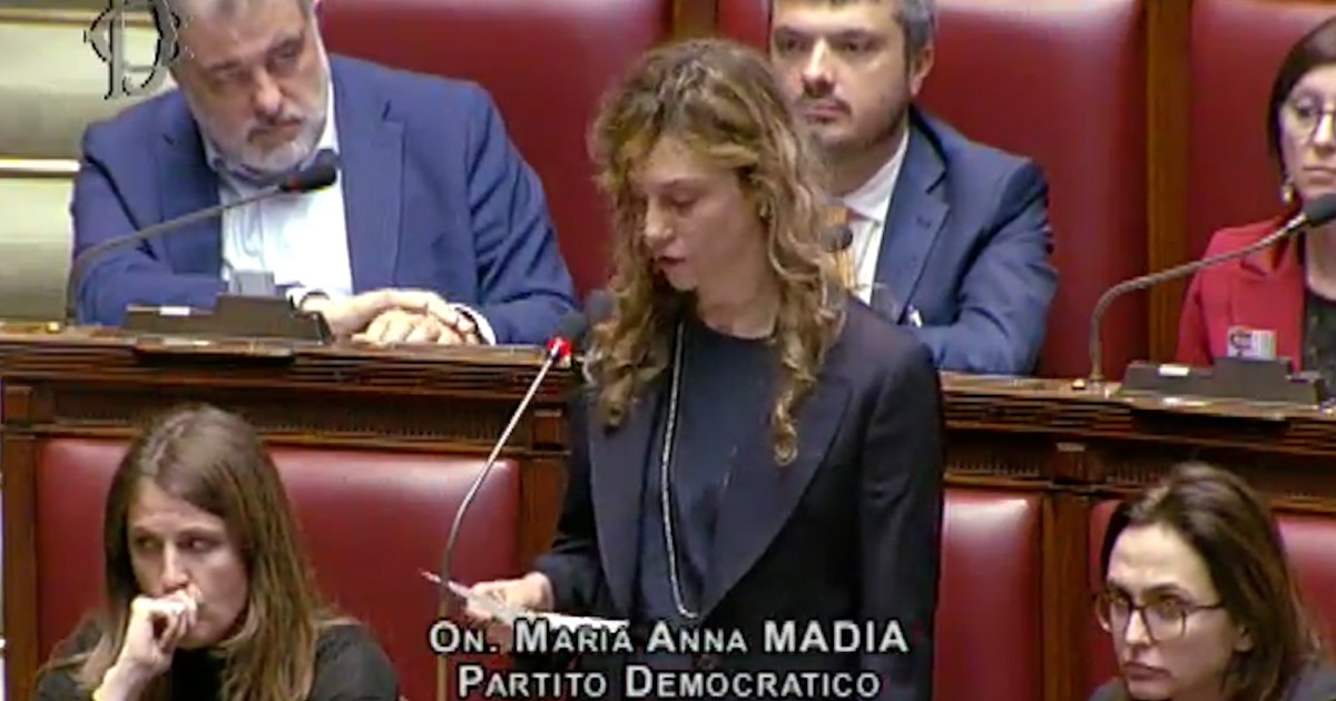 Madia Meloni 