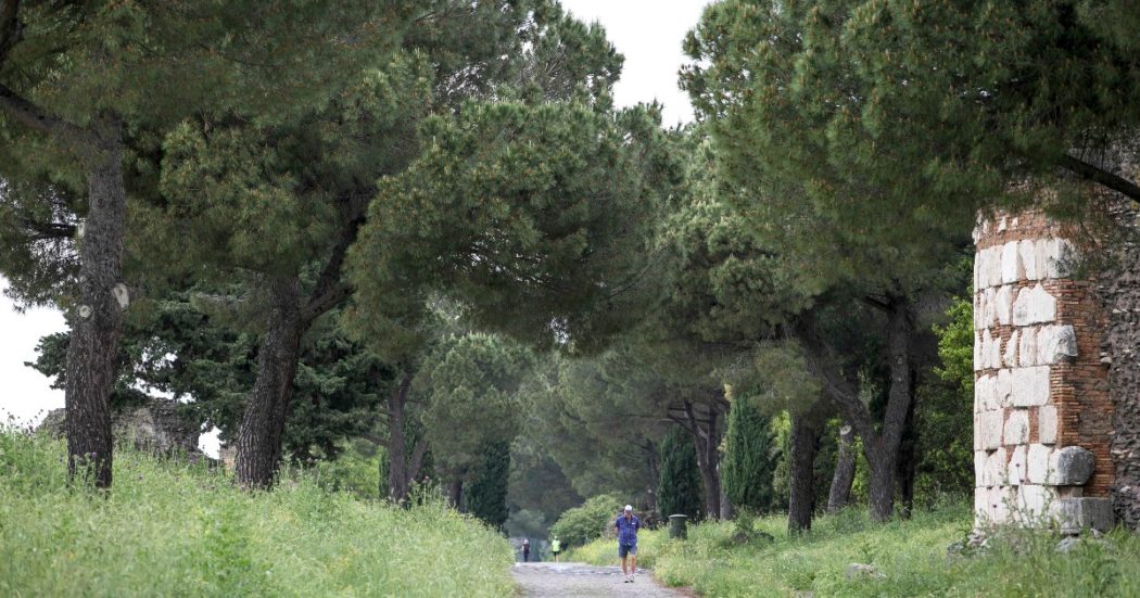 “Pnrr, il problema non sono gli alberi ma le grandi opere: Italia, prima in Europa per morti premature da ondate di calore e polveri sottili”