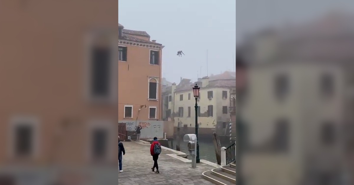 Venezia, si tuffa in un rio dal tetto di un palazzo: il video fa il giro del web. Brugnaro: “Bisognerebbe dargli un certificato di stupidità”
