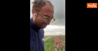 Copertina di “È finita, i tulipani non ci sono più”: la disperazione del floricoltore del Foggiano sotto la grandine – Video