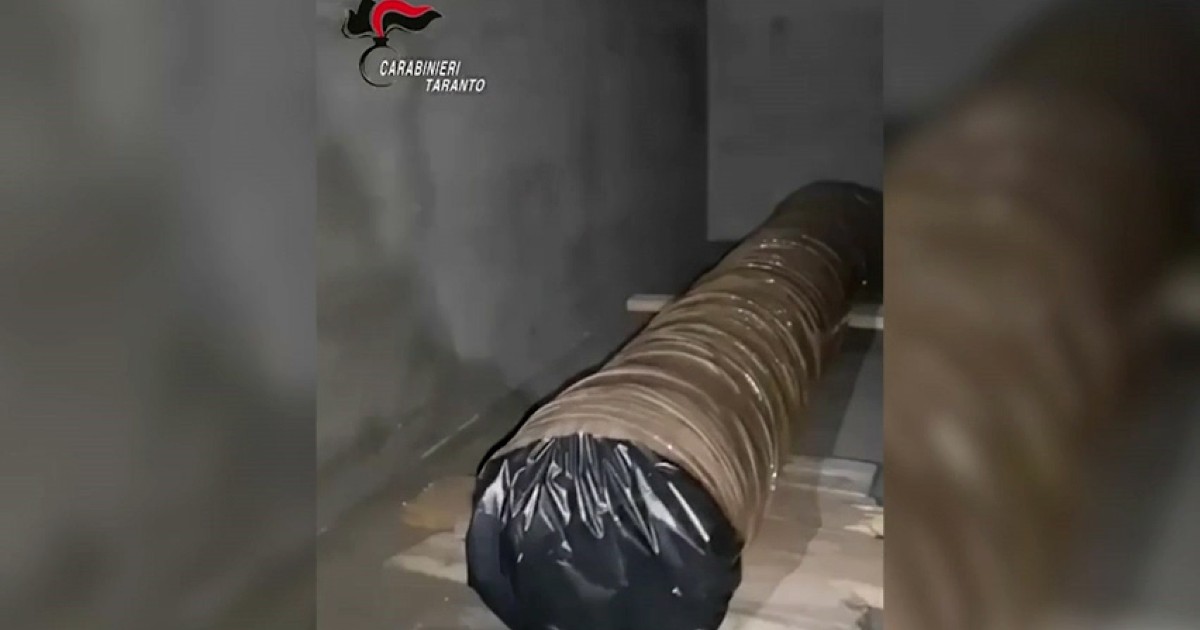 Droga armi 