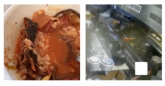 Copertina di Trovano un ratto nel piatto di zuppa e fanno causa al ristorante, che nega: “Impossibile che passi inosservato dalla cucina”