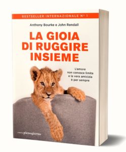 Non storia 