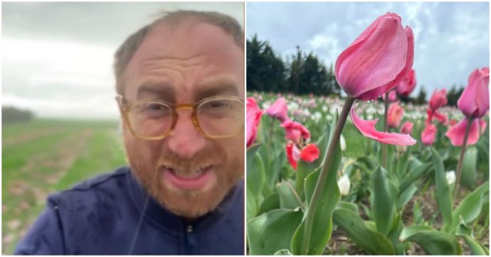 Selvaggia Lucarelli si confronta con l’agricoltore dei tulipani distrutti Giuseppe Savino: “Lei fa impresa, perché il rischio se lo devono accollare i donatori?” “Se chiedo aiuto che male c’è?”