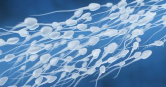 Copertina di “Fermate” il donatore seriale di sperma: ha più di 500 figli, una mamma racconta la sua drammatica storia