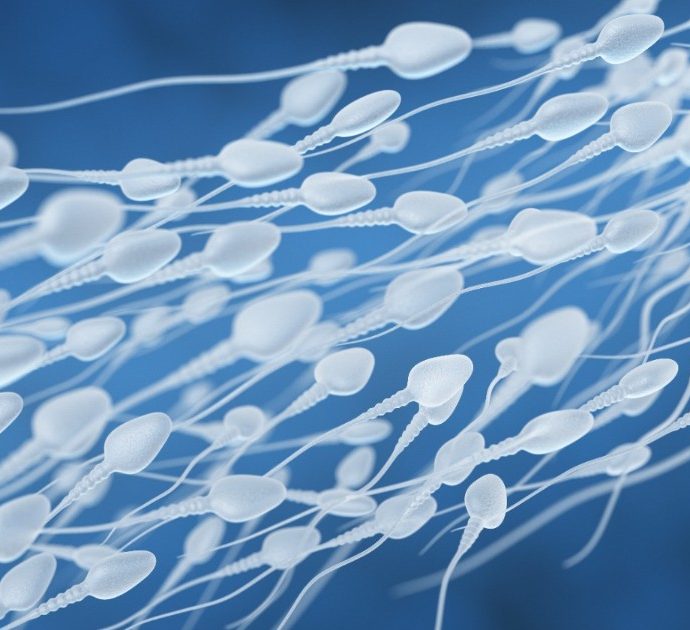 “Fermate” il donatore seriale di sperma: ha più di 500 figli, una mamma racconta la sua drammatica storia