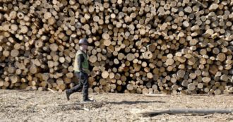 Copertina di Biomasse forestali, l’energia prodotta bruciando la legna continuerà a essere sovvenzionata come rinnovabile