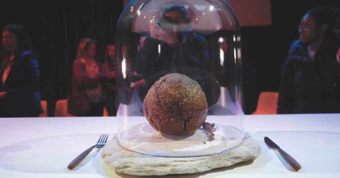 Carni “sintetiche”: lo stop convince solo gli allevatori