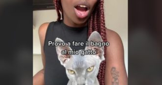 Copertina di “Provo a fare il bagno al mio gatto”: Tiktoker mostra l’esilarante (e pericolosa) routine che è costretta ad affrontare ogni settimana – Video