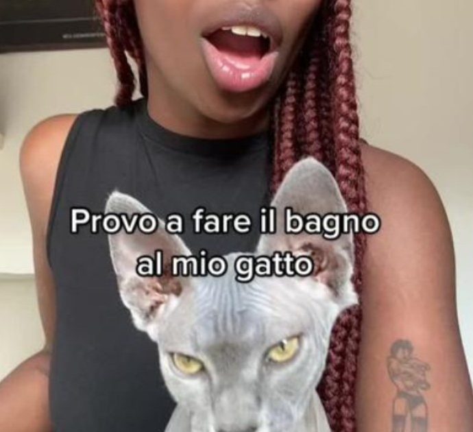 “Provo a fare il bagno al mio gatto”: Tiktoker mostra l’esilarante (e pericolosa) routine che è costretta ad affrontare ogni settimana – Video