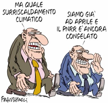 Copertina di La vignetta di Franzaroli