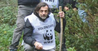 Copertina di Attivista del Wwf pestato per le sue denunce: Sorrento scende in piazza contro la camorra