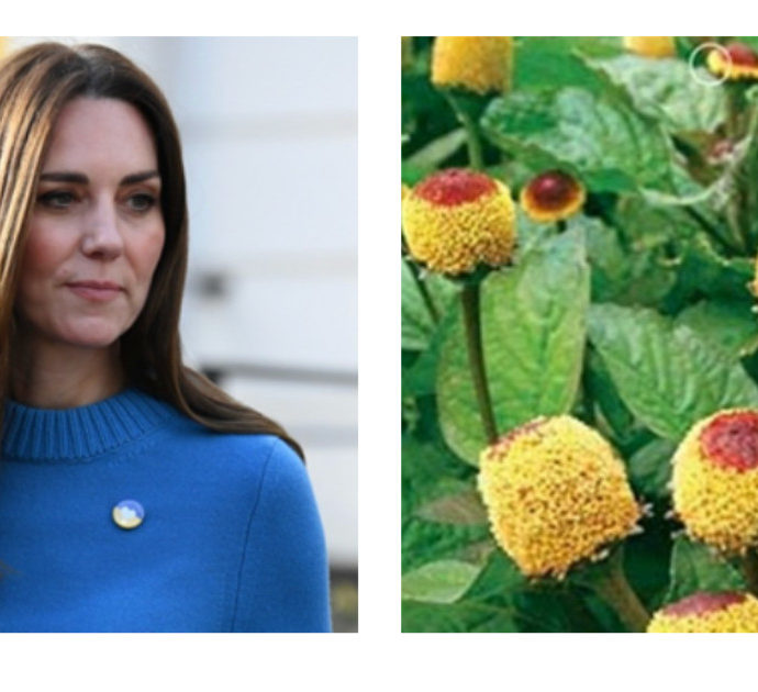 Kate Middleton e il botox naturale: ecco cos’è l’Acmella e perché ha un effetto distensivo sulle rughe