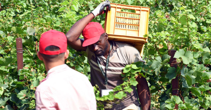 Emergenza caldo, ecco quali regioni (e quali no) vietano il lavoro all’aperto nei giorni da bollino rosso